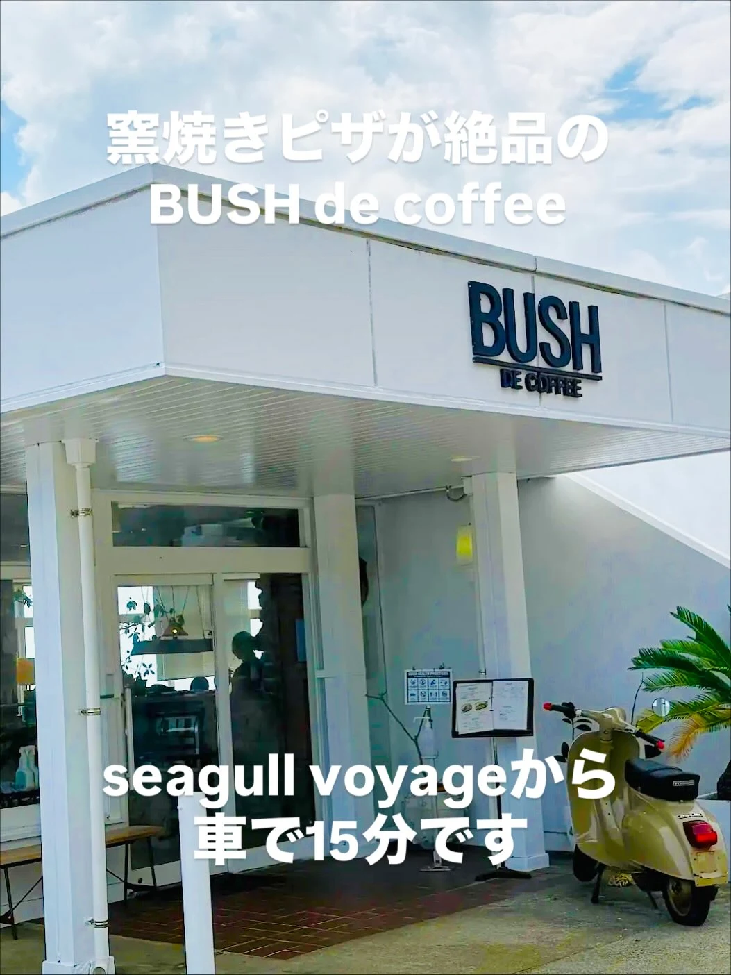 seagull voyage