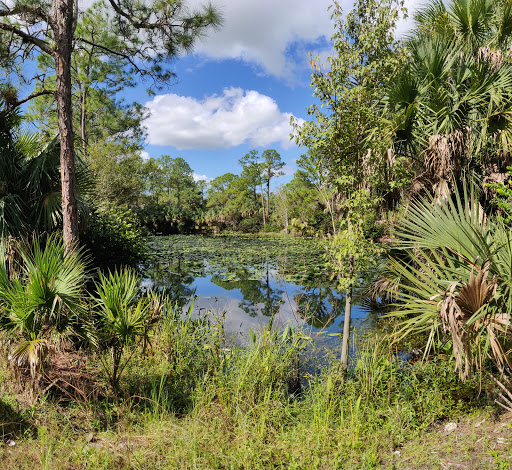 Cypress Creek Natural Area - Thumbnail