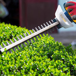 Photo n°2 de CADE PAYSAGE à Cheval-Blanc (Paysagiste)