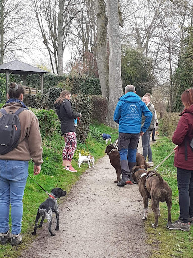 Natureduc - éducateur comportementaliste canin - Thumbnail