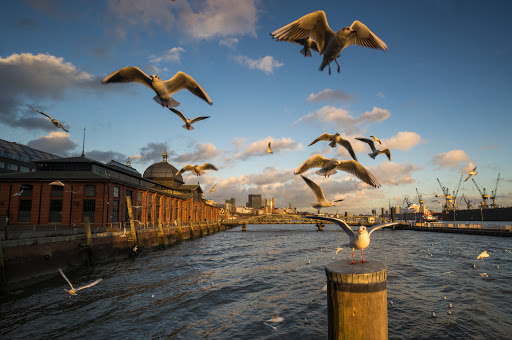 Hamburg-Stadtführung - Thumbnail