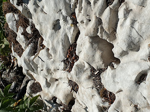 Photo n°12 de Restaurant du Col du Granier à Apremont (Boutique de cadeaux)