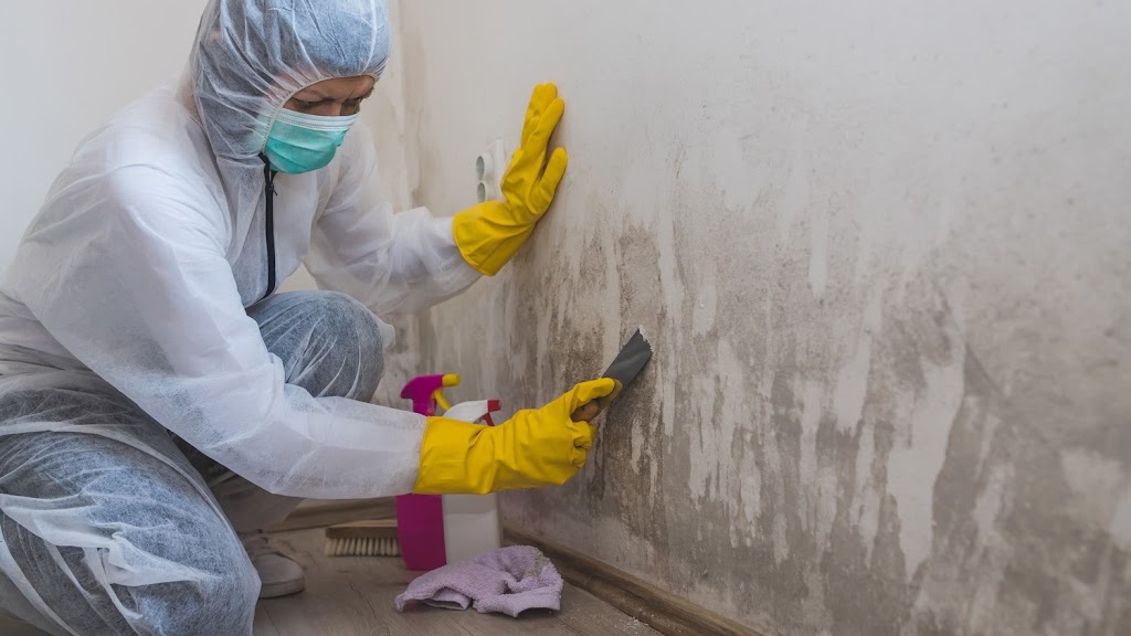 Corbin Water Damage Restoration Services photo