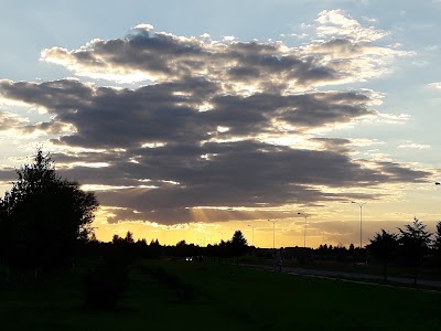 airport