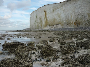Photo n°15 de Découvrons la Baie de Somme à Le Crotoy (Centre de loisirs)
