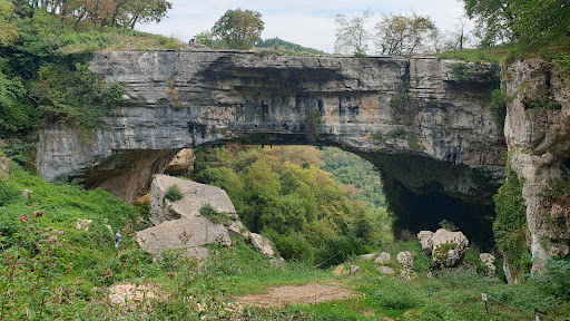 Veja Bridge - Visual
