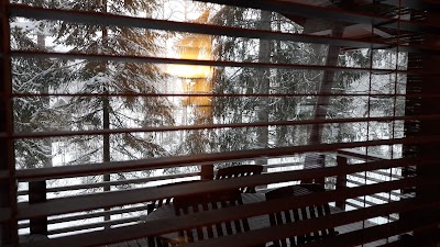 Photos of Koli Spa Lotus & Cottages