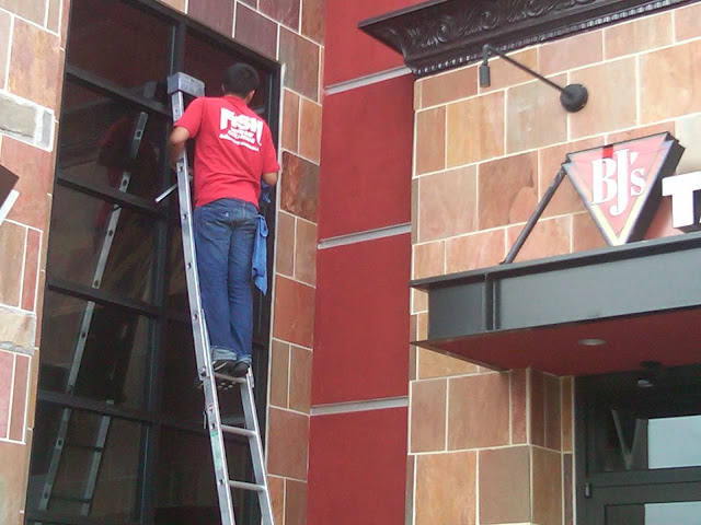 Fish Window Cleaning