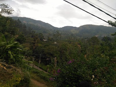 Photos of Kataboola Tea Collecting Center