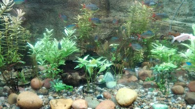 Photos of Johannesburg Zoo South Africa