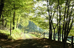 Photo n°38 de Chambres d'hôtes de charme Le Pradel à Monceaux-sur-Dordogne (Piscine extérieure)