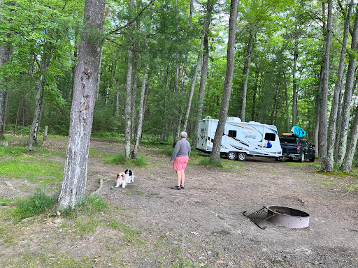 Ausable River Camping, site 070D - Thumbnail