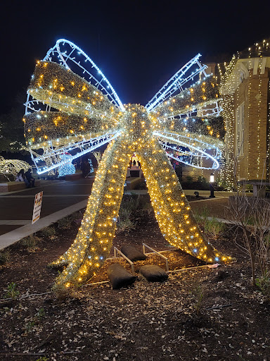 Downtown Kyle Park - Thumbnail
