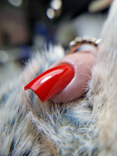 Reginails - Visual