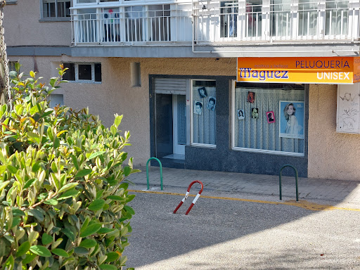 Maguez - Visual