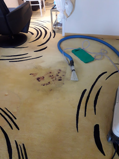 Tolsteam carpet cleaning - Thumbnail