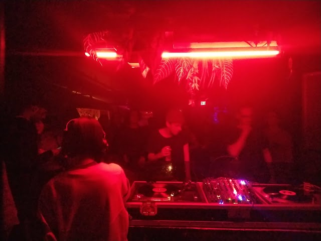 Bambis