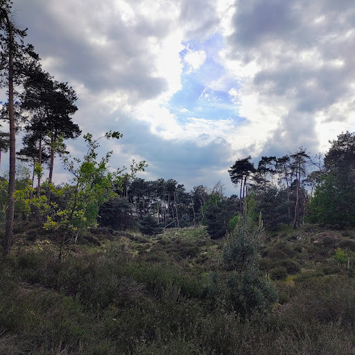 Camperplaats Kalmthoutse heide - Thumbnail