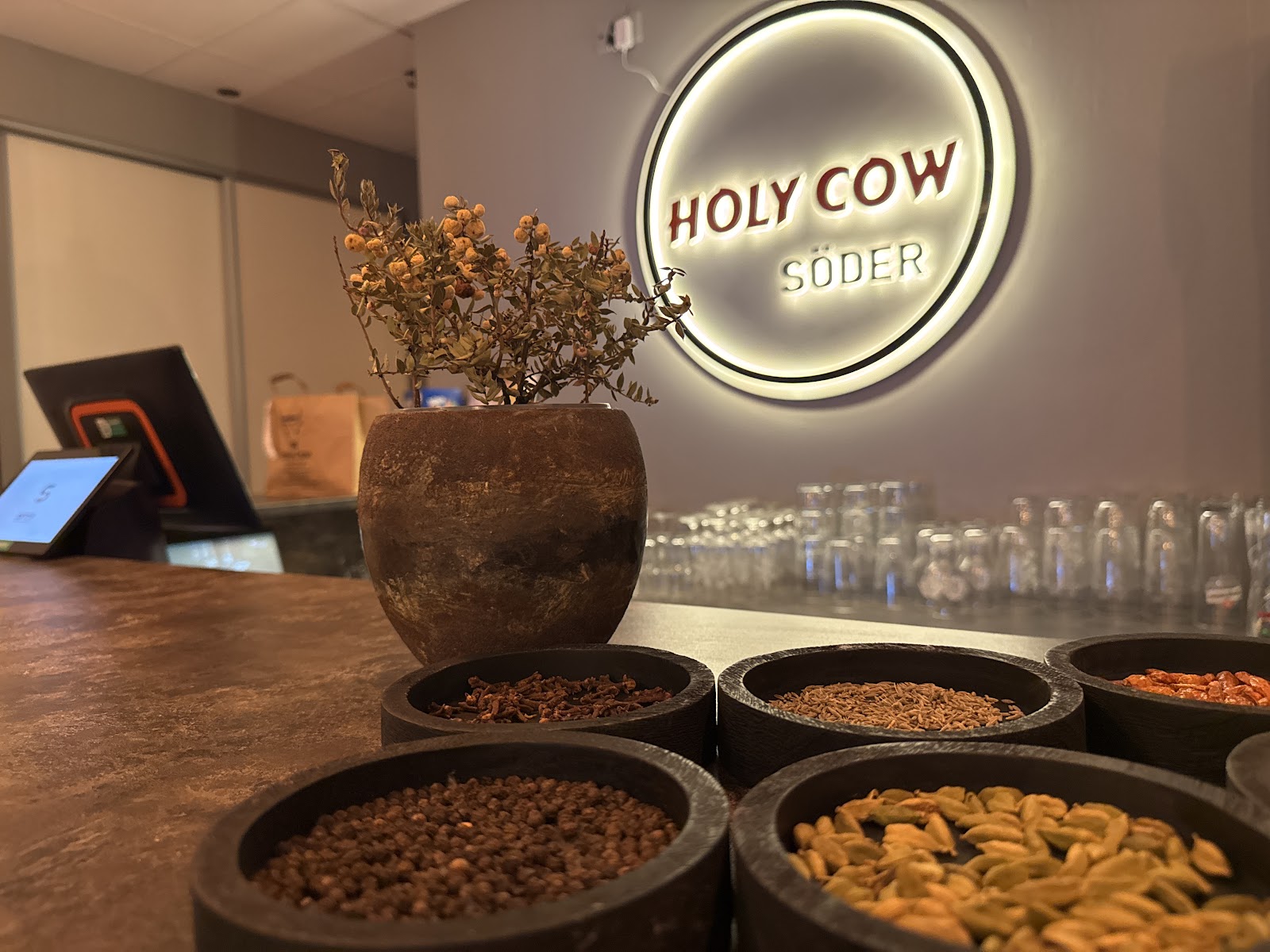 Holy Cow - Soder — photo 2