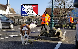 Photo n°3 de Association K9 Mantrailing France à Millançay (Association bénévole)