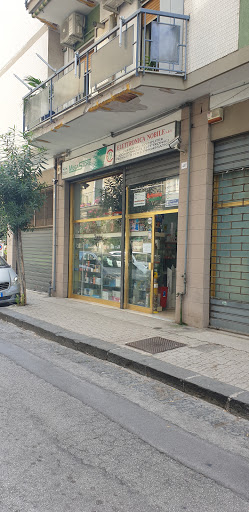 Elettronica Nobile