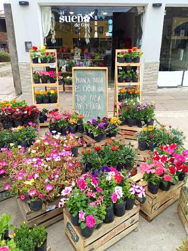 El Sueño de Grá - Foto 1