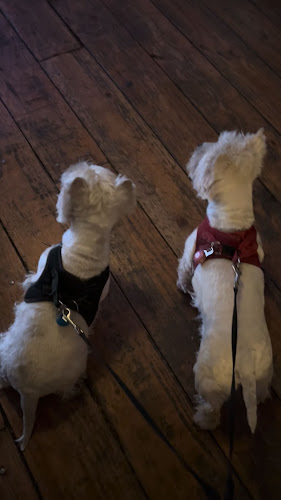 La Métairie - Carcassonne