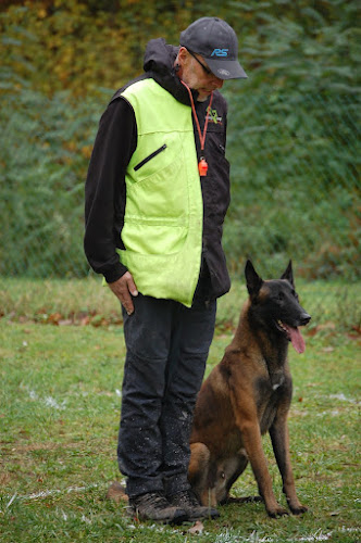 Club canin de Schirrhein Schirrhoffen - Dresseur pour chiens