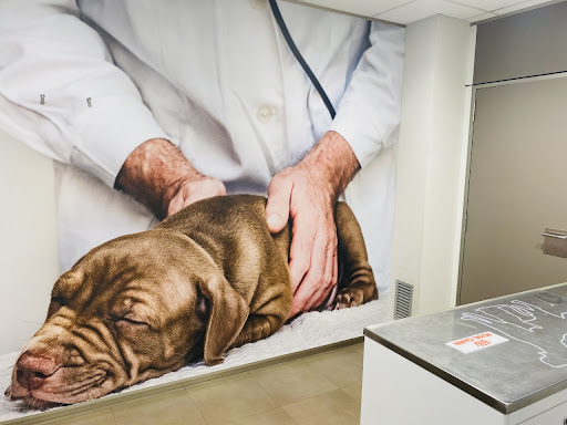 Hospital Veterinari Manresa | MiVet