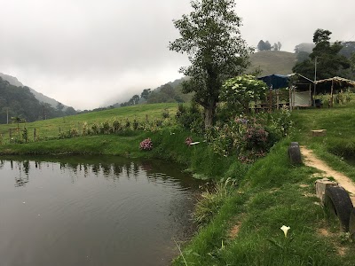 Photos of Bar El Lago
