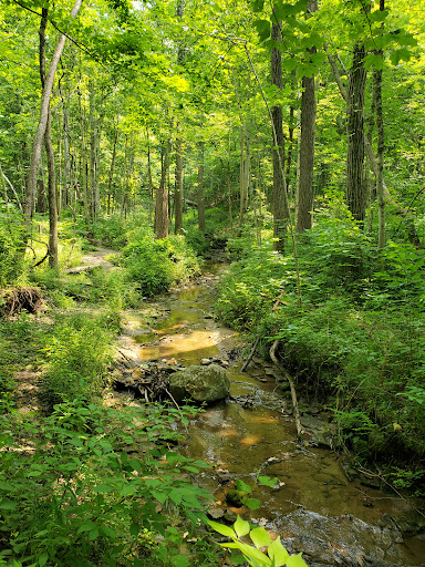 Kokiwanee - ACRES Land Trust - Thumbnail