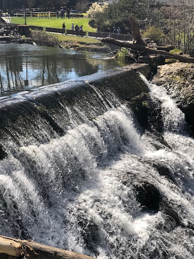 Tumwater Falls