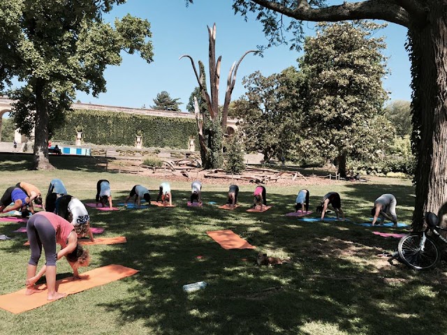 YSANANDA YOGA