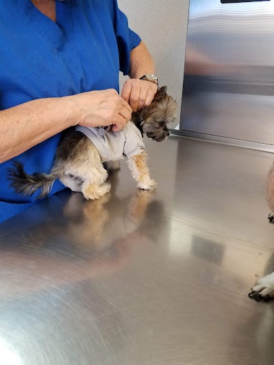 Tucumcari Animal Hospital