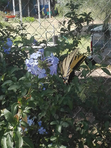 Centro Regional de Educación y Cultura de la Biodiversidad (CEREBIO) - Thumbnail