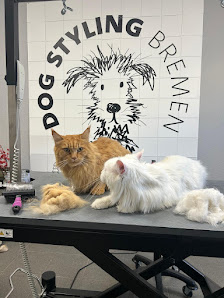 Bild: Dog Styling Bremen - Hundefriseur und Hundesalon Neueste