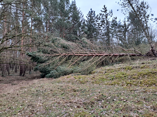 Vogelbeobachtungsstelle - Thumbnail