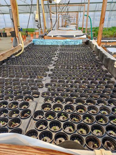 HORTI FRANCE - Thumbnail