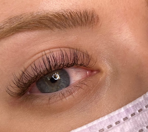Bee Beauty PRO Gallery - United States