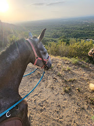 Photo n°11 de Les Chevauchées Catalanes/yeguada Yala à Argelès-sur-Mer (Centre équestre)