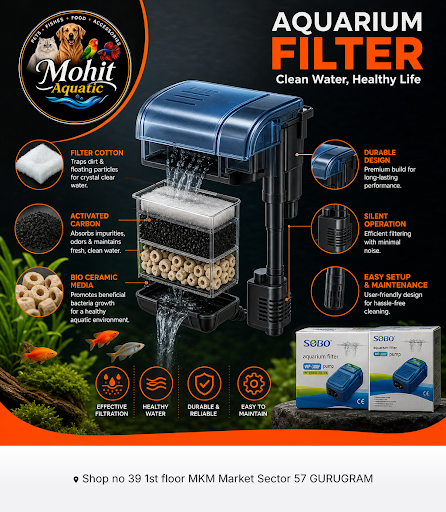 Discover high-quality aquarium filters at MOHIT AQUATIC to keep your aquarium system clean and he… post image