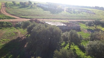 Photos of مسجد علي بن ابي طلب اولاد حمو