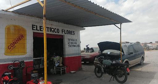 Taller eléctrico flores - Thumbnail