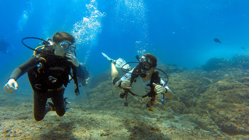 TamaDive Tamarindo Meeting Point - Dive Center