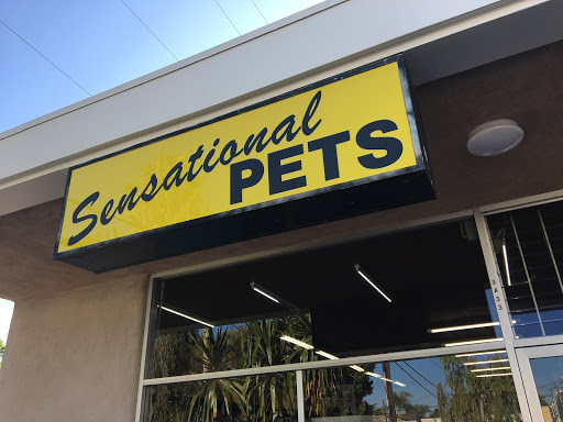 Sensational Pets