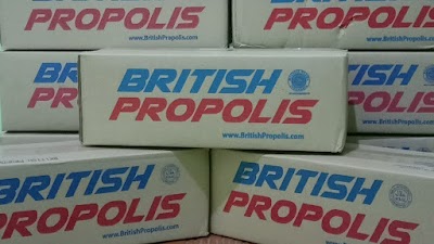 photo of British Propolis Klaten