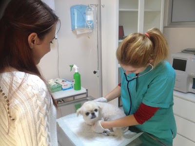 Photos of Maywell Veterinary Clinic