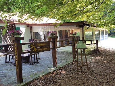 Photos of Trattoria Foresta Umbra