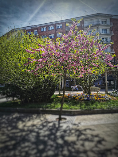 Plaza de Pequeñeces - Thumbnail