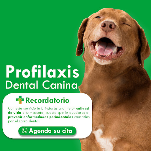 Veterinaria Bahía